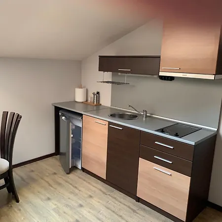 7 In Alexander Complex Apartmán Bansko