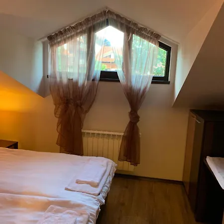 7 In Alexander Complex Bansko