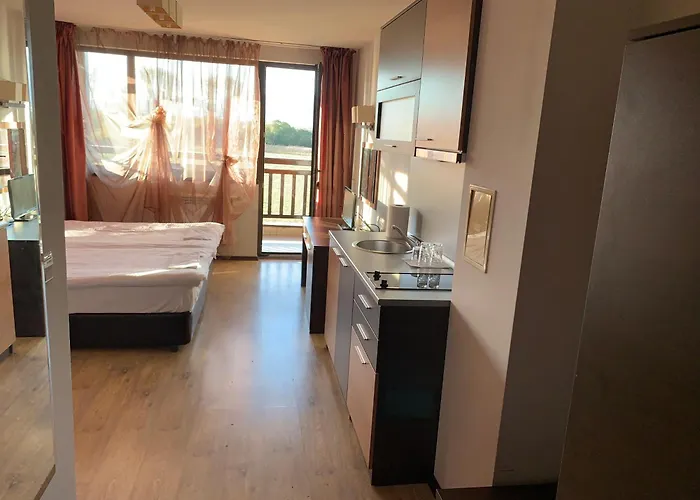 7 In Alexander Complex * バンスコ