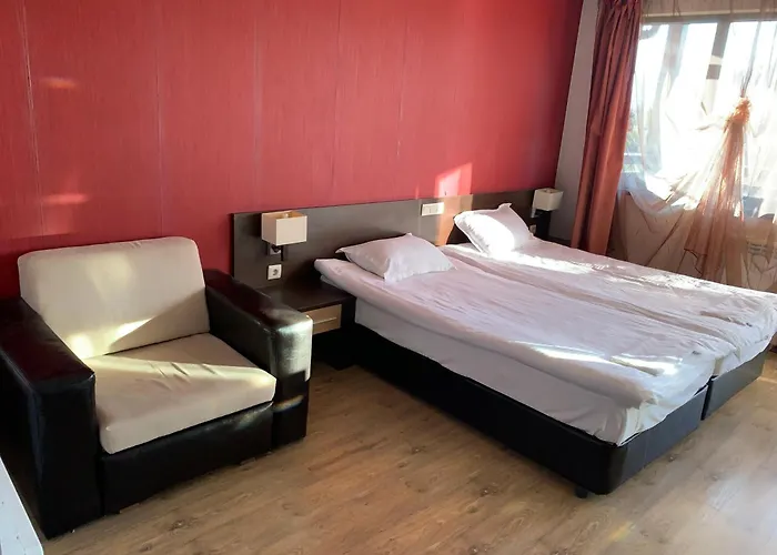 7 In Alexander Complex * バンスコ