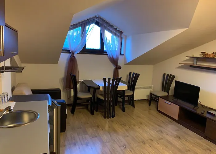 7 In Alexander Complex バンスコ