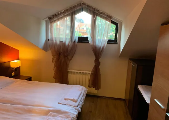 7 In Alexander Complex バンスコ