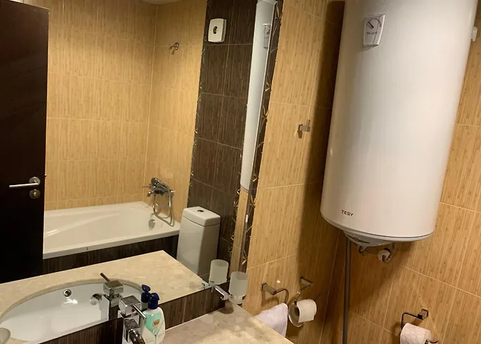 7 In Alexander Complex バンスコ