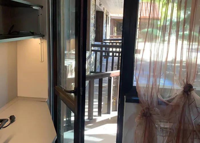 7 In Alexander Complex * バンスコ