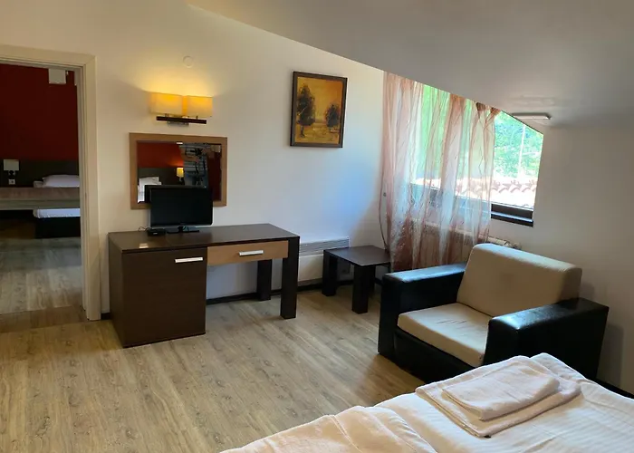 7 In Alexander Complex * バンスコ