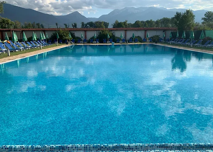 7 In Alexander Complex * バンスコ