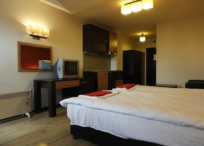 7 In Alexander Complex バンスコ